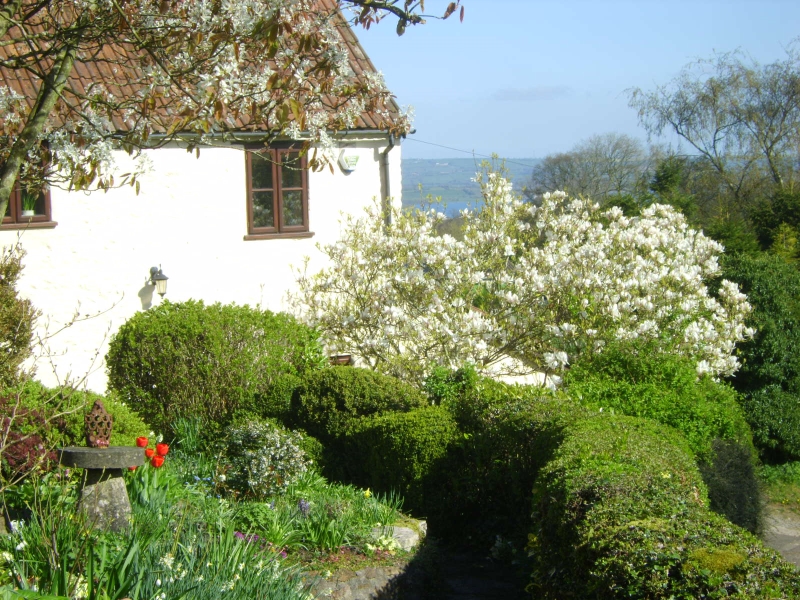 Rose Cottage